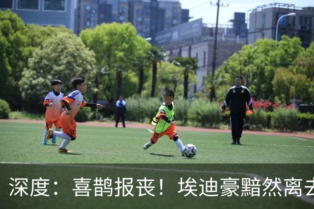 深度：喜鹊报丧！埃迪豪黯然离去 大病纽卡一地鸡毛